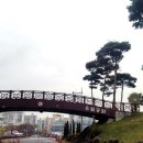 유림-1012 이미지