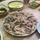 경남사 | 마산어시장 남도횟집 :: 마산어시장축제기간 방문 전어회시세