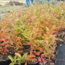 대열농장 이미지