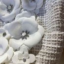 까멜리아 이미지