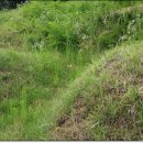 강원장의사 이미지