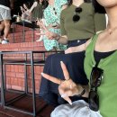 더놀자투어 이미지