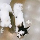 제연동물병원 이미지