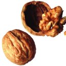 유에프오미술학원 이미지