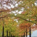 메타세쿼이어길 화장실 이미지