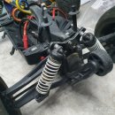 알리와 윌리 이미지