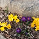 하늘이 준 선물 이미지