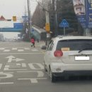 주정차단속-15 이미지