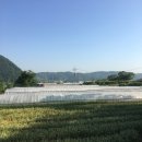 승일농장 이미지