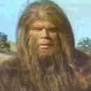 견생일기 이미지