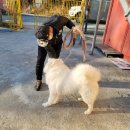 사교 마을회관 이미지