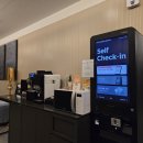 브라운도트사상르네시떼점 이미지