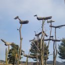 정물 이미지