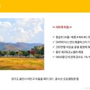 푸르내마을순이네
