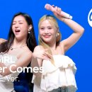 SUMMER BAND CONCERT 이미지