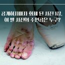 공개하자마자 화제된 사진 1장, 이 발 사진의 주인공은 누구? 이미지