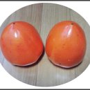 정감이간다 이미지