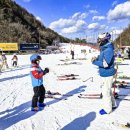 엘리시안 강촌 스키장 이미지