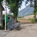 돌담약국 이미지