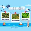은성디자인광고 | 어성초 미스트 전 성분 파 헤쳐 보자!