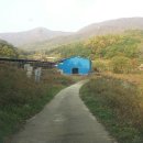 황토골 사슴 농장 이미지