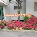 유림아파트경로당 이미지
