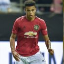 그린우드 이미지