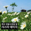 변산 마실길(샤스타데이지)트레킹 안내(5월23일) 이미지