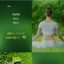 보리보틀 티스토리
