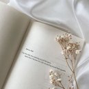 글쓰기의 발견 이미지