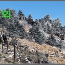 1호화장실(진달래화장실) 이미지