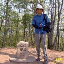 백학산 이미지