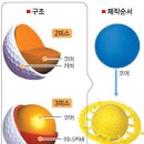 모스트 골프 아카데미 이미지