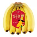 추억의 날개 | 추억의 아침 바나나 다이어트 후기