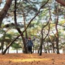 포토에세이 - 중구 흰바위로 45 | 포토에세이