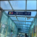 에브리플라워데이