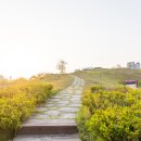 한솔뜰근린공원 이미지