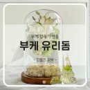 유리돔 모드등 | 울산 부케 말리기 카라 조명 유리돔 꼬블리 공방 후기