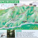 강원 정선 태백산 철쭉산행 (017년06월04일(일) 이미지