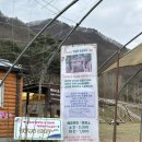 춘천 아이랑 갈만한 곳:해피초원목장