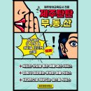 제주평안부동산중개사무소 | [공지] 제주영어교육도시에서 집 찾기! 여기 모르면 손해봅니다.