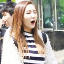 고기영역 이미지