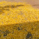 은행가득 주유소 이미지