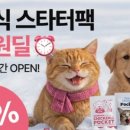 판타펫코리아 이미지