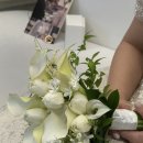 [내돈내산 부케 추천] 슈망플레르 튤립카라부케 본식&amp;코사지&amp;2부 헤어핀 본식 솔직 후기🤍