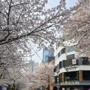 격투창고 | ​[상암 주짓수] 🌸봄맞이 갓생 살기! 다이어트 비법, 무료 체험 신청하세요! 🥋🔥