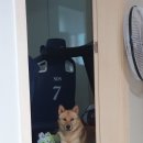 도진농장 이미지