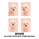 영지유치원 | 7월 일상