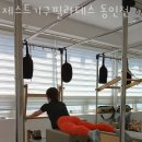 제스트(501) 이미지