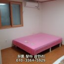 팔레스텔 이미지